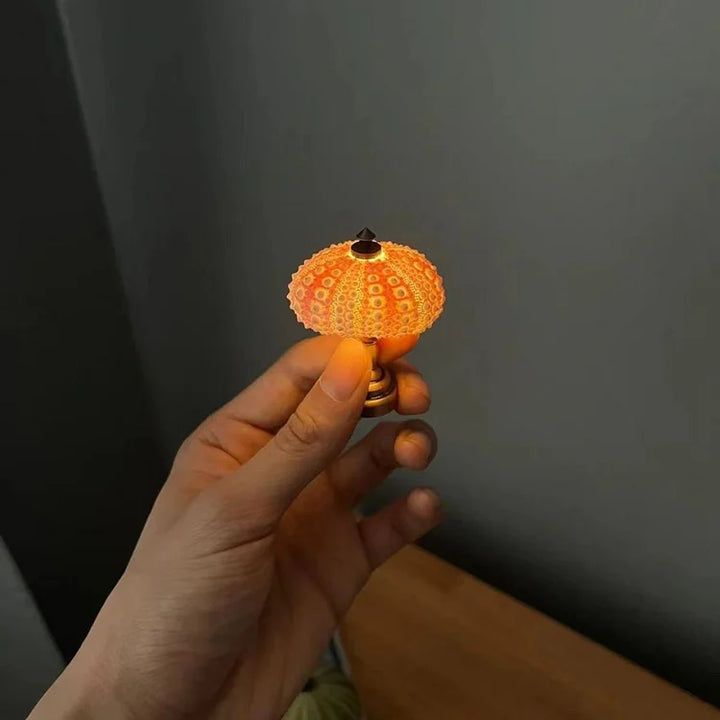 LumiCraft – Unik DIY-bordslampa med naturlig snäcka för en mysig atmosfär