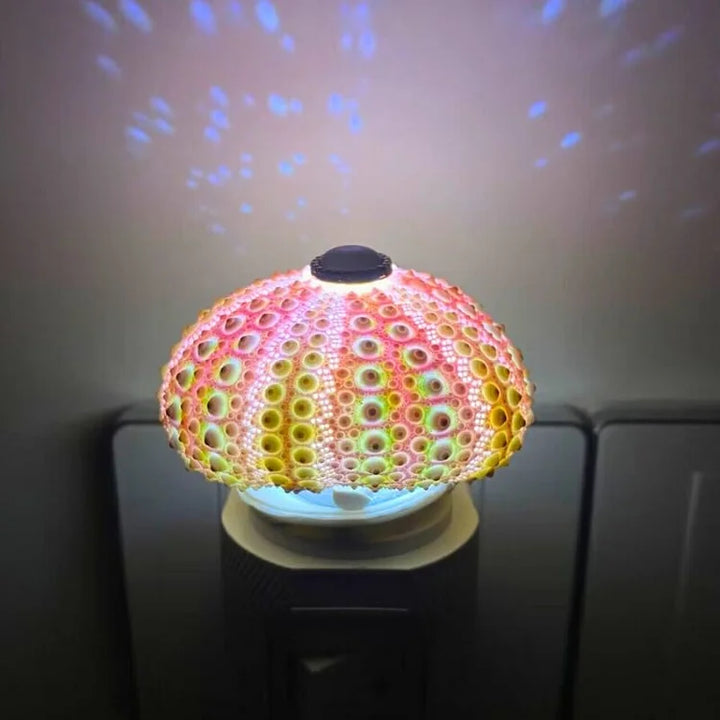 LumiCraft – Unik DIY-bordslampa med naturlig snäcka för en mysig atmosfär