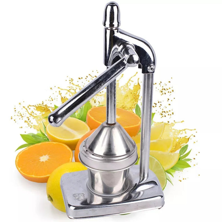 Rostfri fruktpress