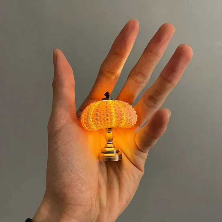 LumiCraft – Unik DIY-bordslampa med naturlig snäcka för en mysig atmosfär