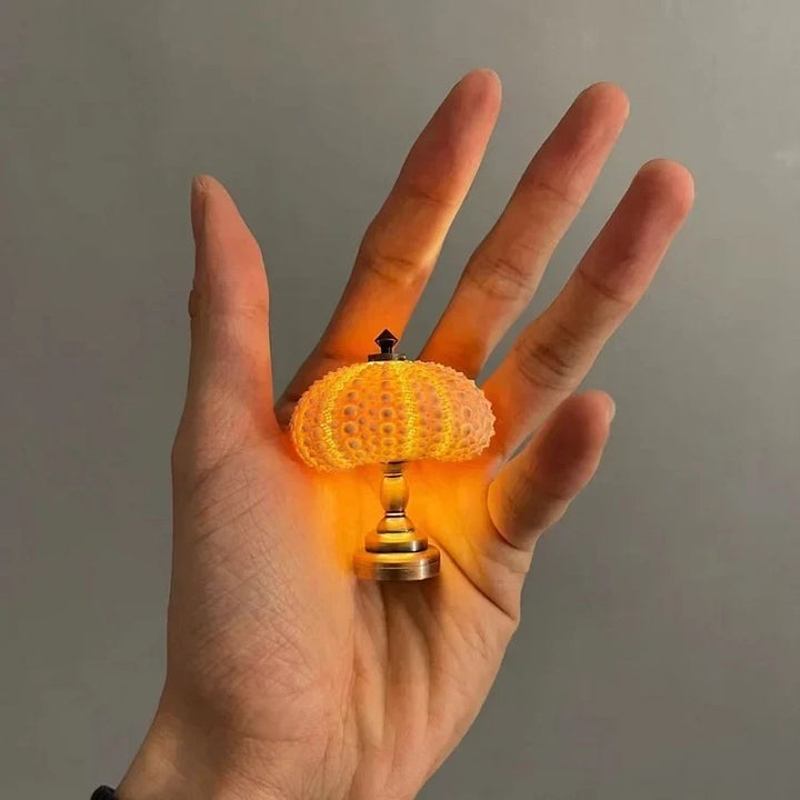 LumiCraft – Unik DIY-bordslampa med naturlig snäcka för en mysig atmosfär