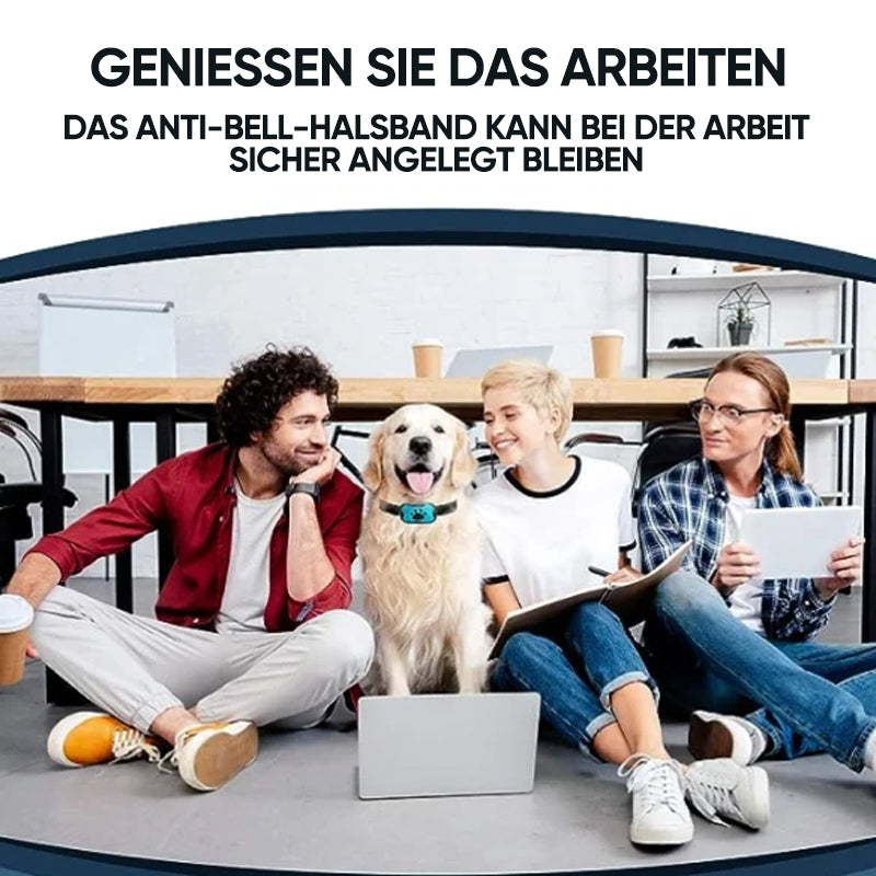 Uppladdningsbar, vattentät hundtränare