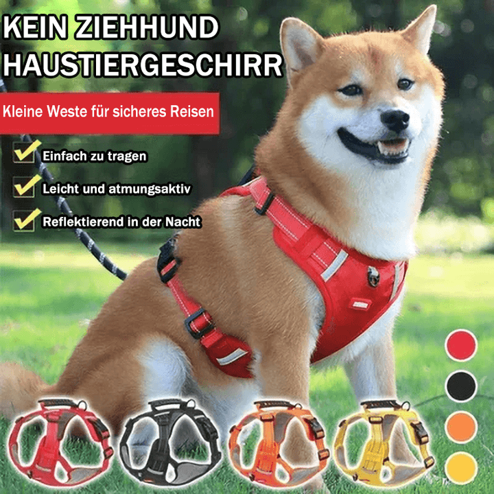 💥Utrensningsförsäljning 49 % RABATT🐕Inget drag-hundsele för husdjur