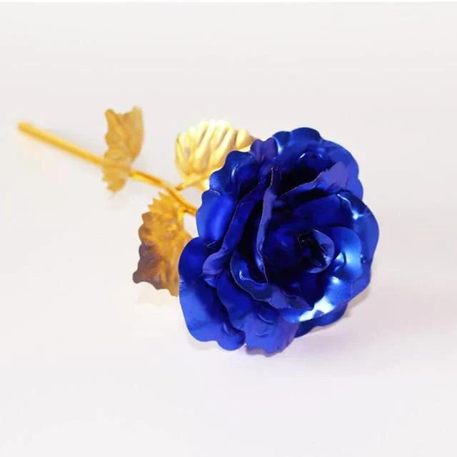 Karnz | 24K Guldros