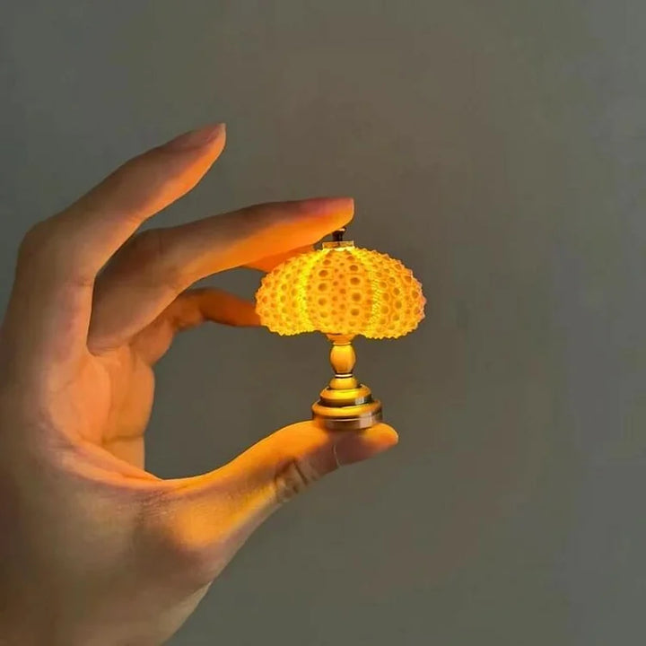 LumiCraft – Unik DIY-bordslampa med naturlig snäcka för en mysig atmosfär