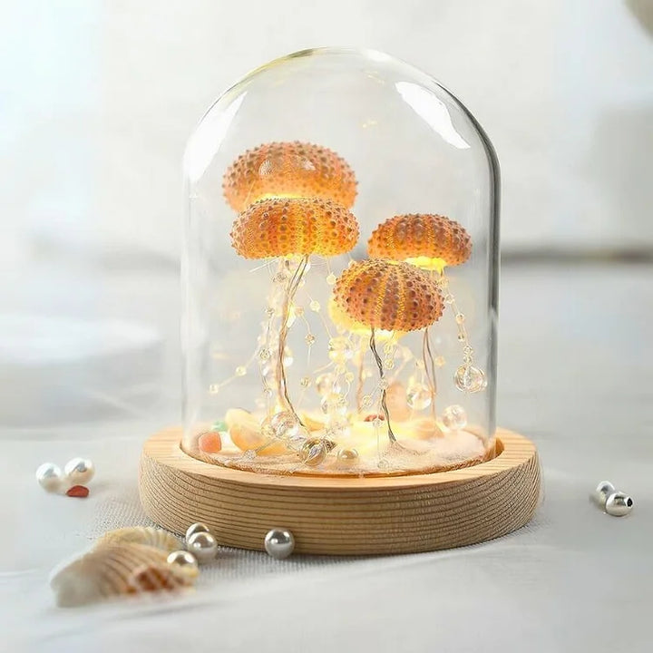 LumiCraft – Unik DIY-bordslampa med naturlig snäcka för en mysig atmosfär
