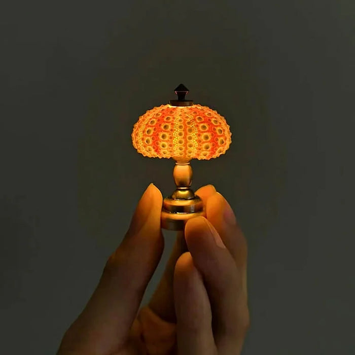 LumiCraft – Unik DIY-bordslampa med naturlig snäcka för en mysig atmosfär