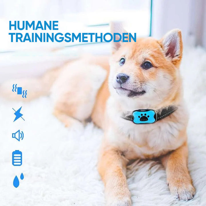 Uppladdningsbar, vattentät hundtränare