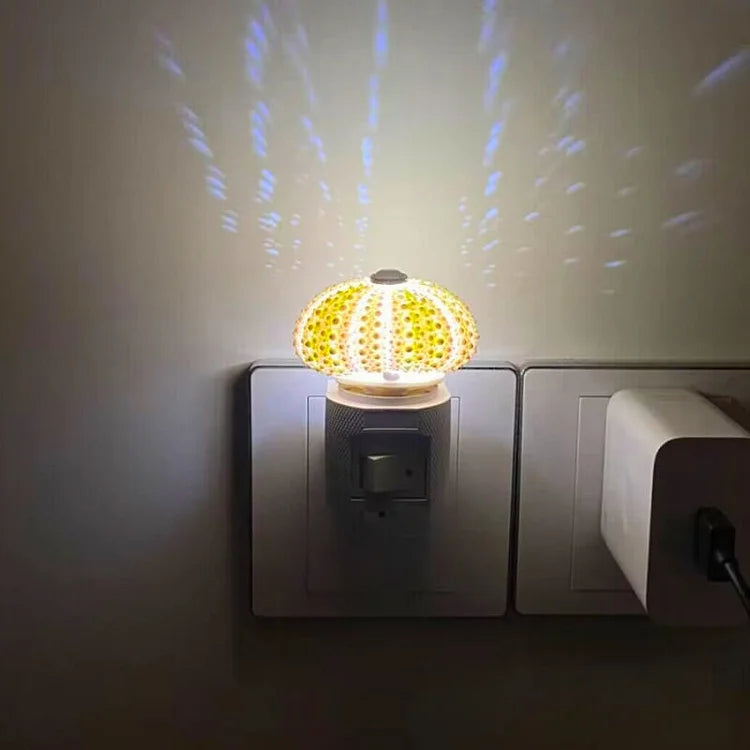 LumiCraft – Unik DIY-bordslampa med naturlig snäcka för en mysig atmosfär