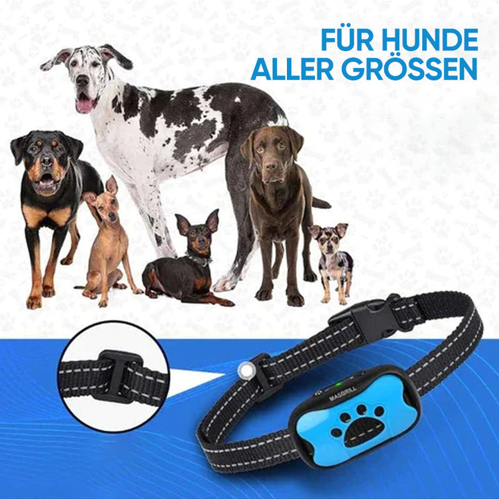 Uppladdningsbar, vattentät hundtränare