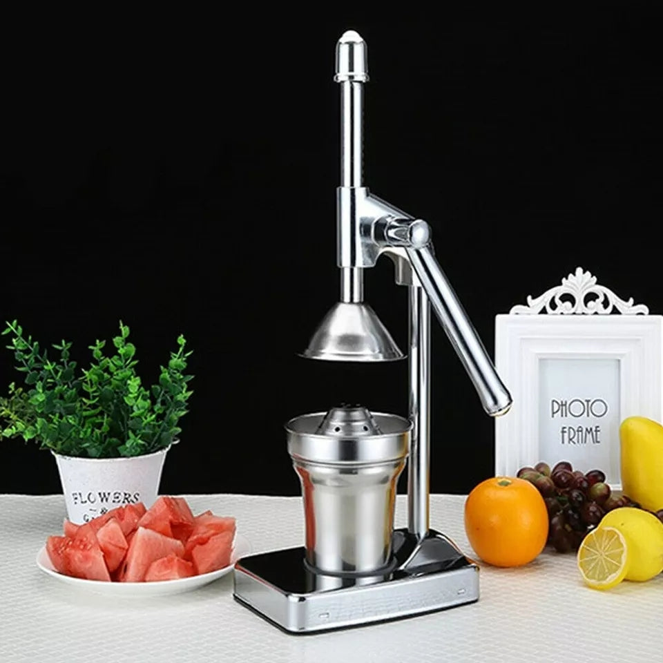 Rostfri fruktpress