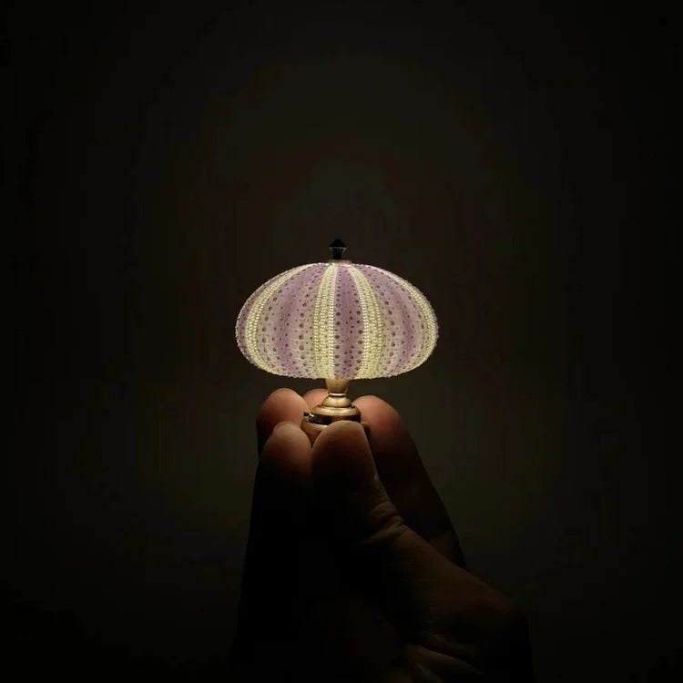 LumiCraft – Unik DIY-bordslampa med naturlig snäcka för en mysig atmosfär