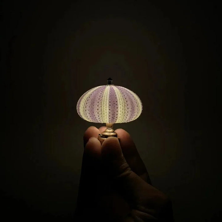 LumiCraft – Unik DIY-bordslampa med naturlig snäcka för en mysig atmosfär