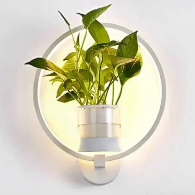 LED-vägglampa med inbyggd växt – Designer-vägglampor för inomhusbruk