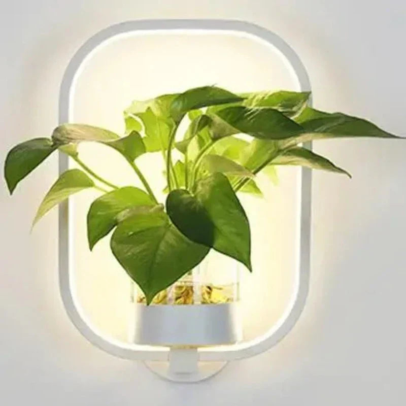 LED-vägglampa med inbyggd växt – Designer-vägglampor för inomhusbruk