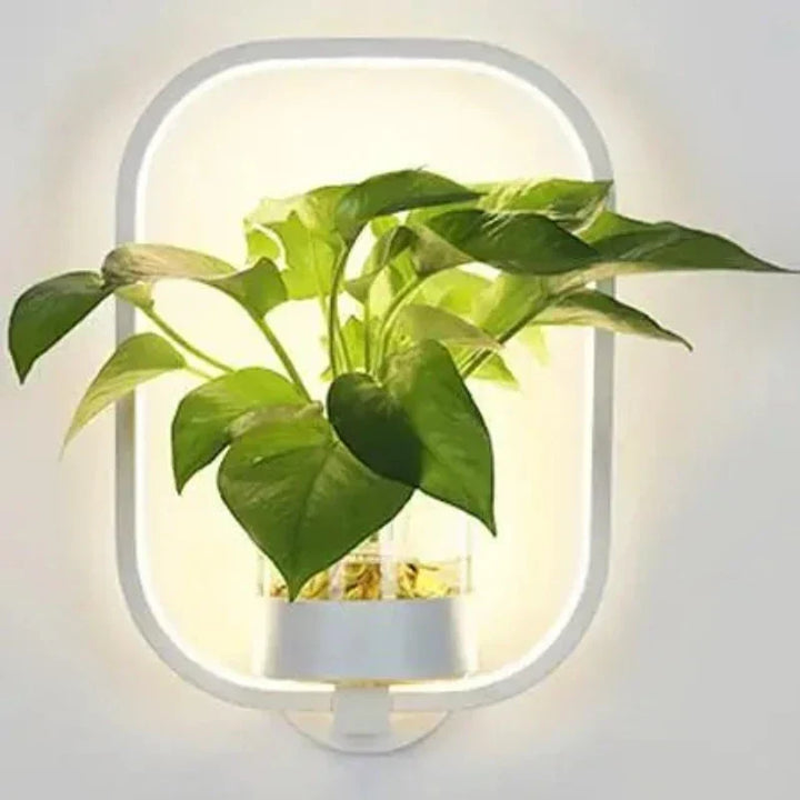 LED-vägglampa med inbyggd växt – Designer-vägglampor för inomhusbruk