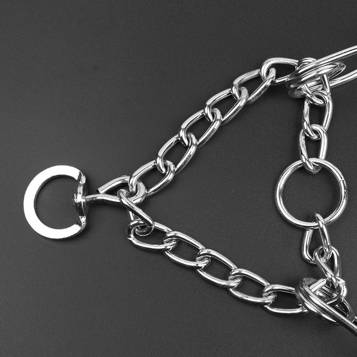 Karnz | Hund Pincher Halsband - Stil B