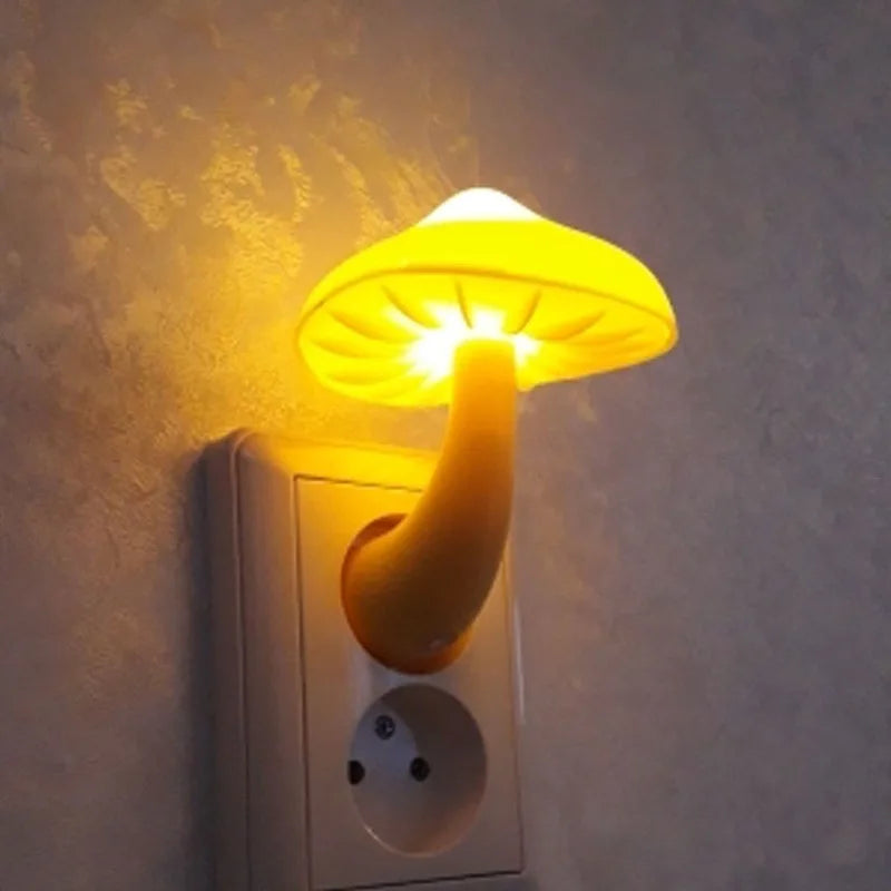 Pilz Nattljus Sensor