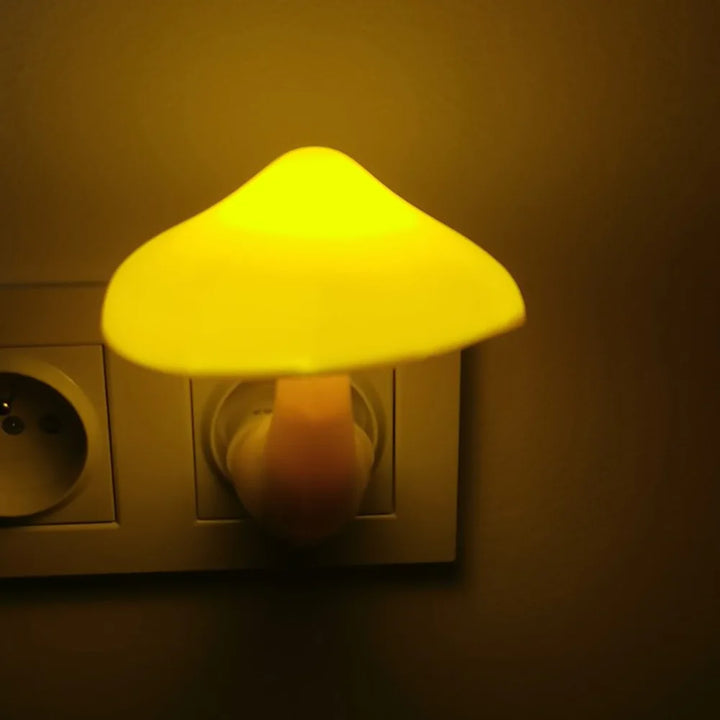Pilz Nattljus Sensor