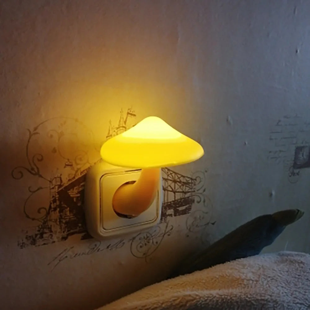 Pilz Nattljus Sensor