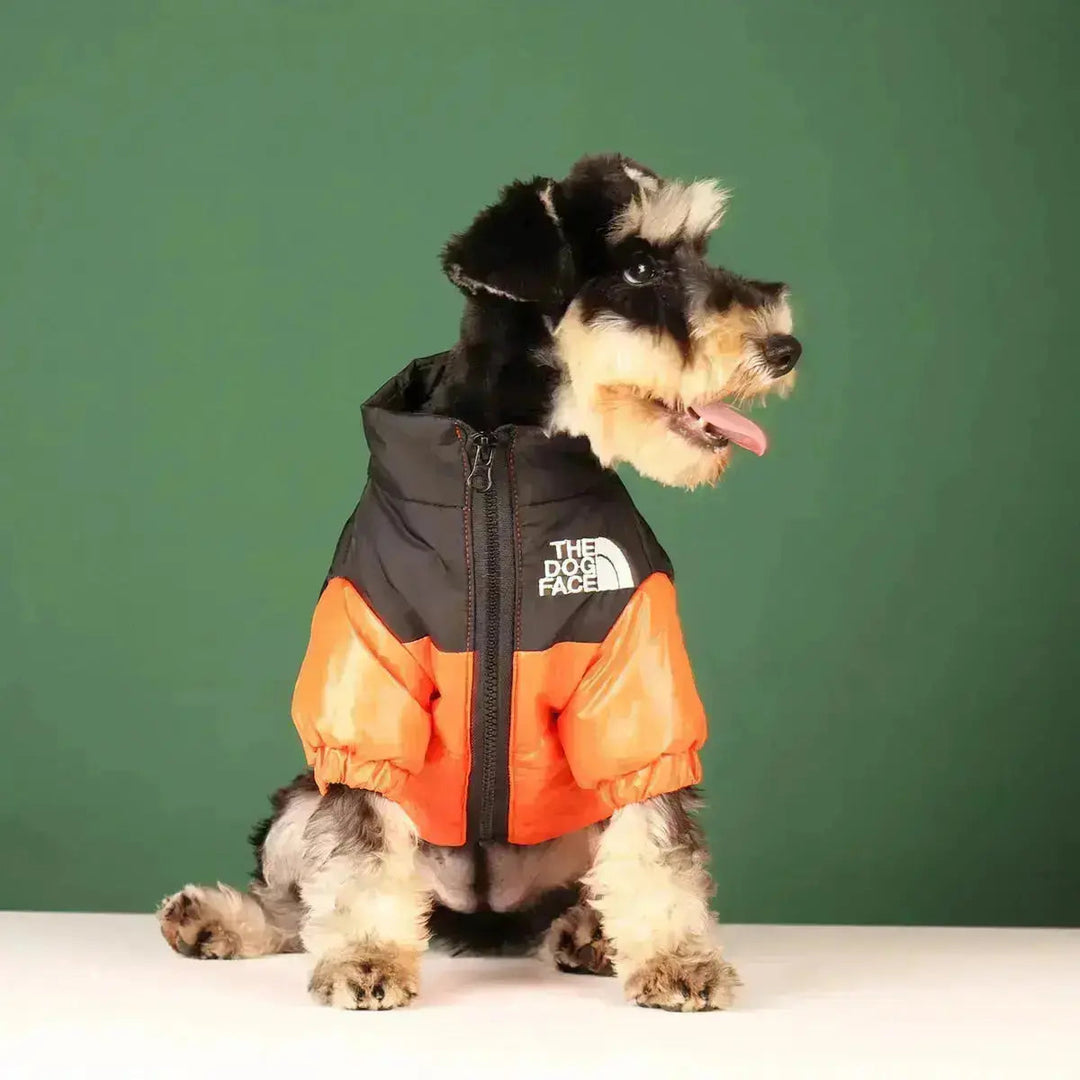 Sandsberg | Hund-Vinterjacka | Fodrad och Vindavvisande