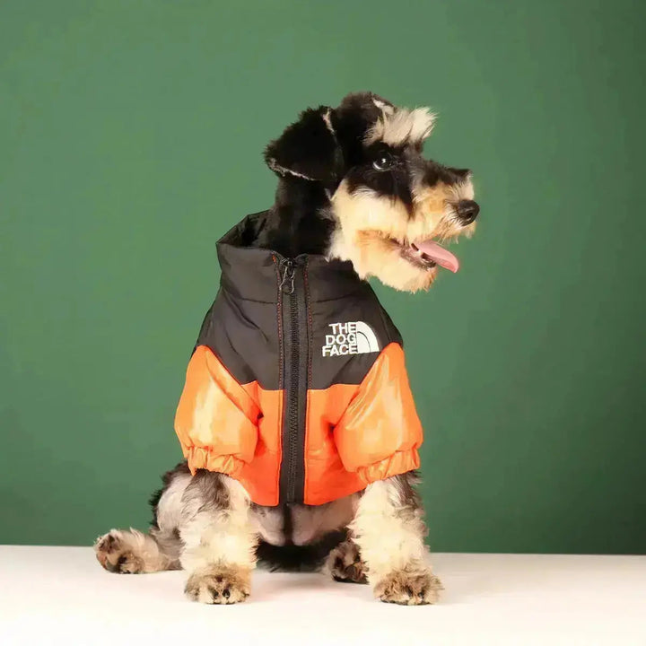 Sandsberg | Hund-Vinterjacka | Fodrad och Vindavvisande