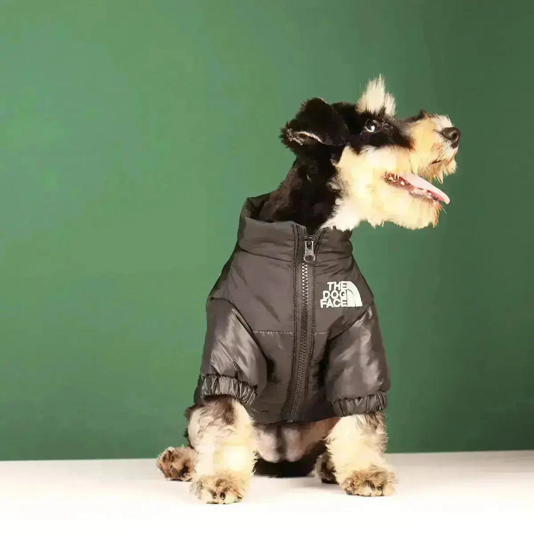 Sandsberg | Hund-Vinterjacka | Fodrad och Vindavvisande