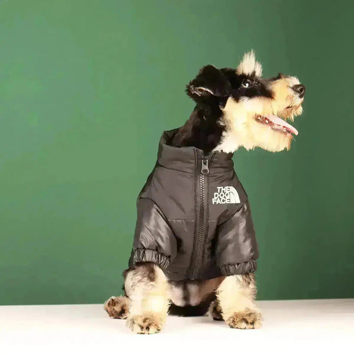 Sandsberg | Hund-Vinterjacka | Fodrad och Vindavvisande
