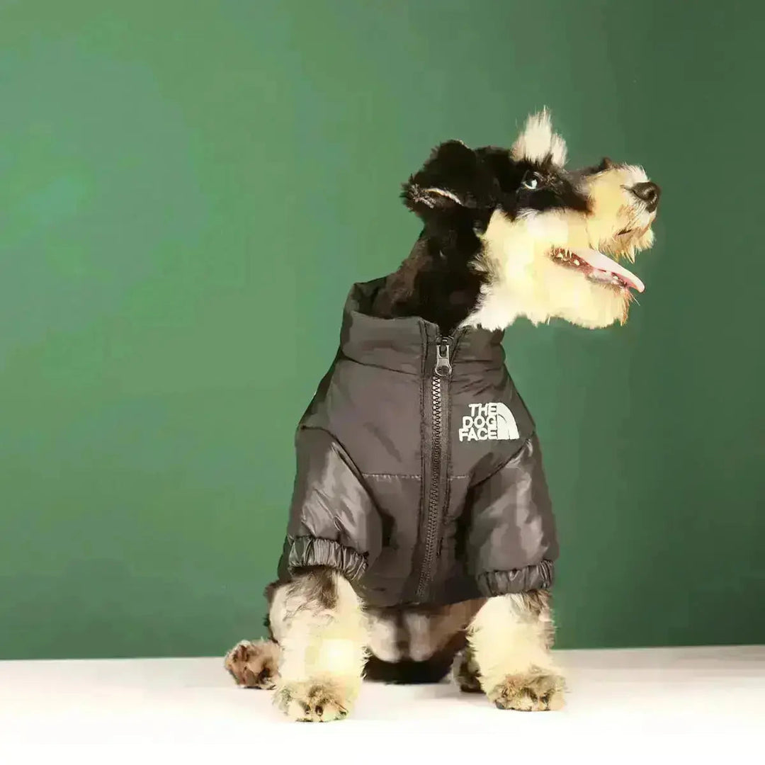 Sandsberg | Hund-Vinterjacka | Fodrad och Vindavvisande