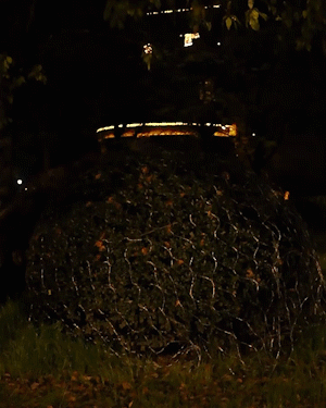 Solcell Fiskarnät Belysning