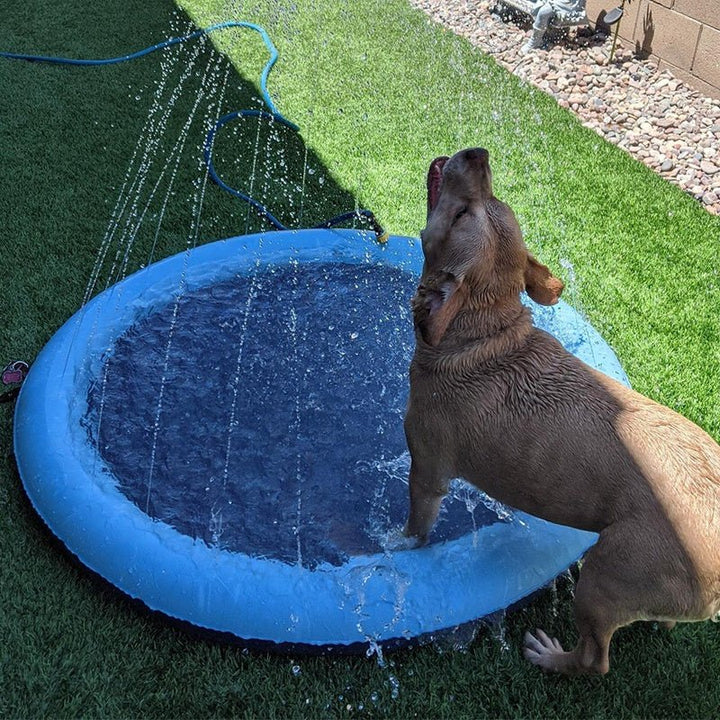 SplashPaws™ | Husdjurs-sprinklerkudde