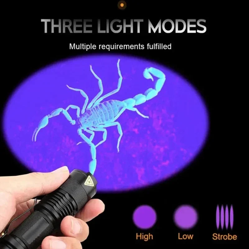 LED-UV-Ficklampa – Ultraviolet Inspektionslampa för att upptäcka husdjursurin och fläckar