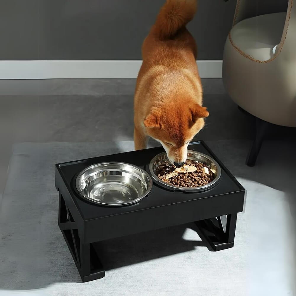 PupLift Höjd Hundskål – Ergonomisk &amp; Långsam Matning för Hälsosamma Måltider | Karnz