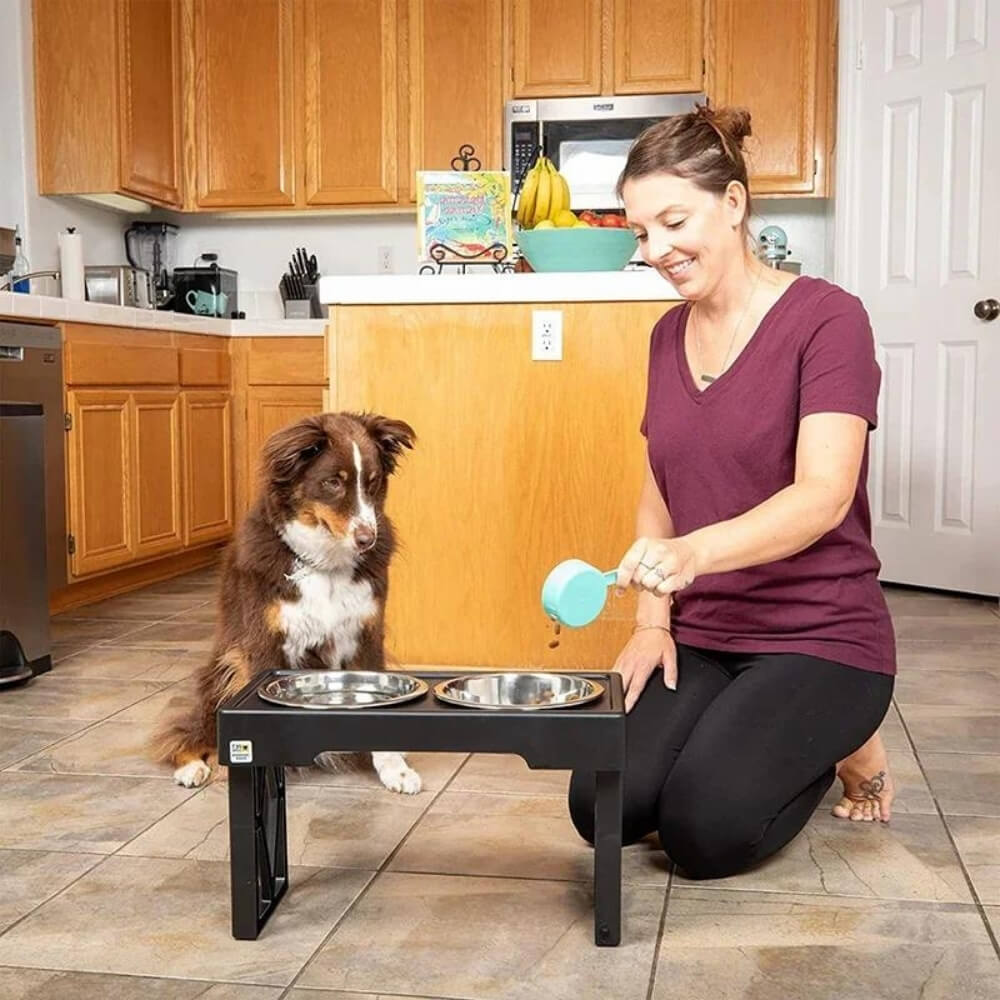 PupLift Höjd Hundskål – Ergonomisk &amp; Långsam Matning för Hälsosamma Måltider | Karnz