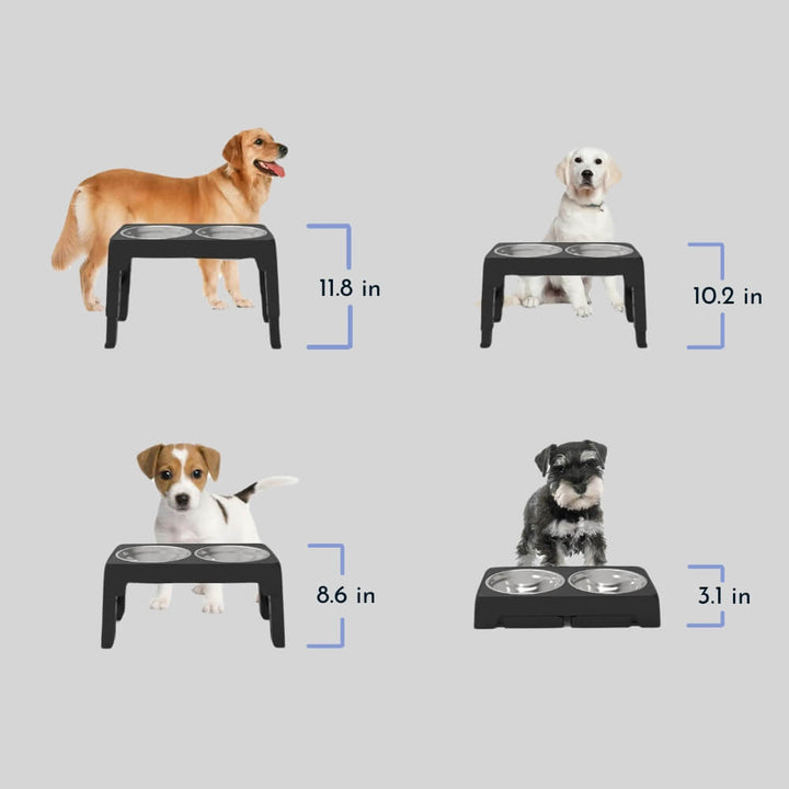 PupLift Höjd Hundskål – Ergonomisk &amp; Långsam Matning för Hälsosamma Måltider | Karnz