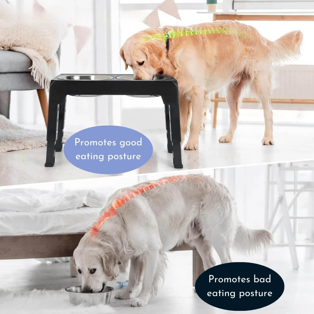 PupLift Höjd Hundskål – Ergonomisk &amp; Långsam Matning för Hälsosamma Måltider | Karnz