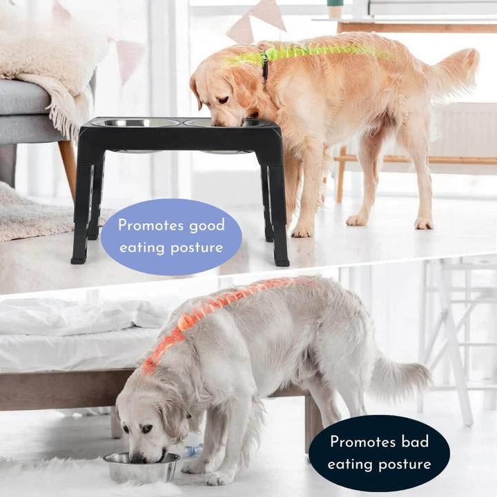 PupLift Höjd Hundskål – Ergonomisk &amp; Långsam Matning för Hälsosamma Måltider | Karnz